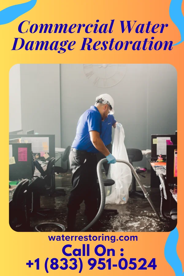 Commercial Water Damage Restoration in Maple Park, IL