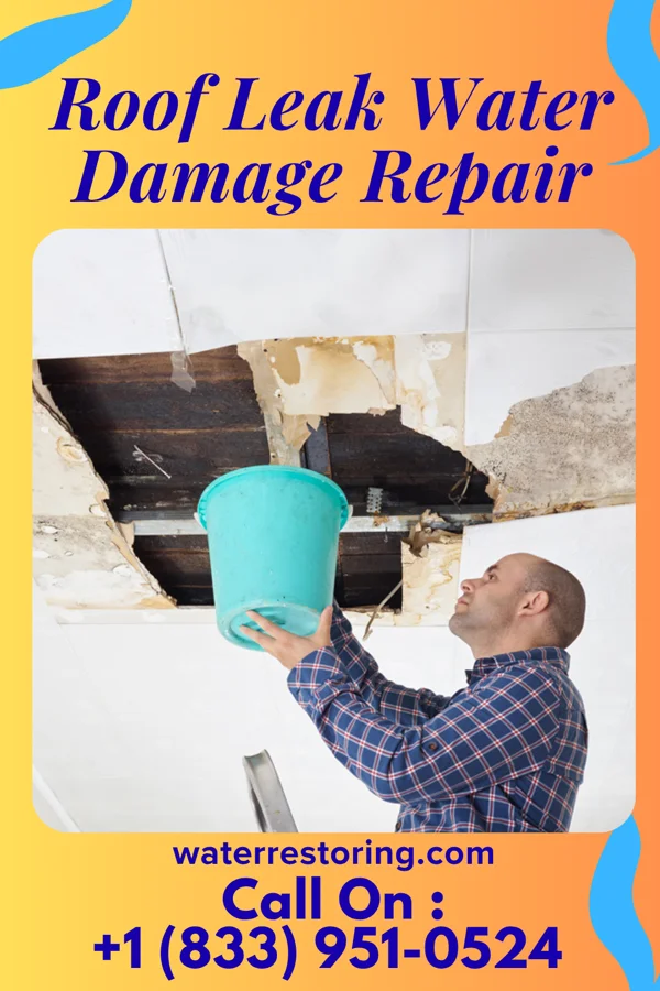 Roof Leak Water Damage Repair in Maple Park, IL