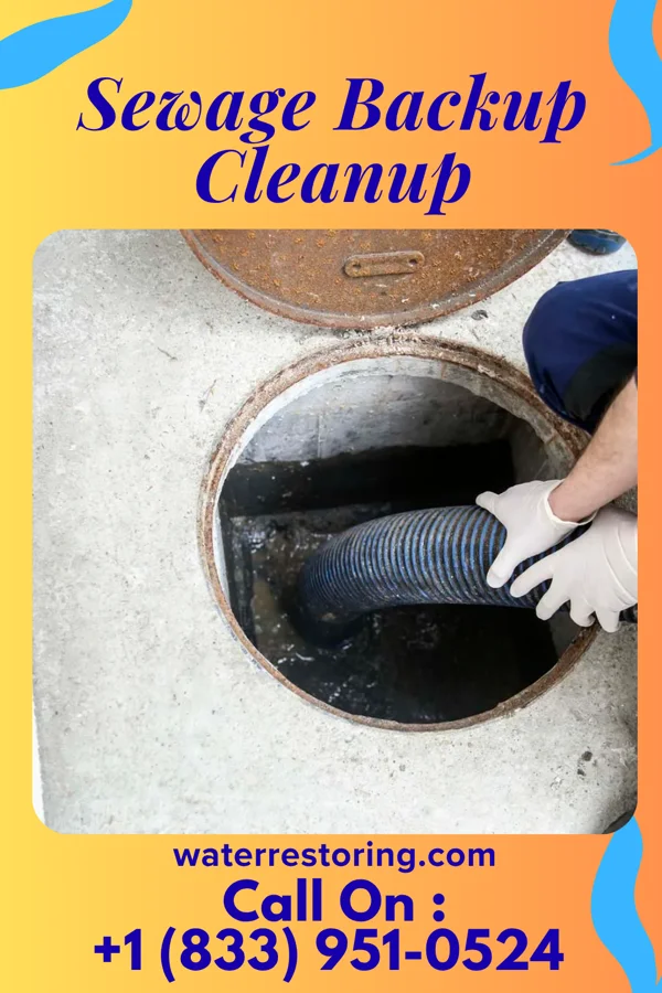 Sewage Backup Cleanup in Maple Park, IL